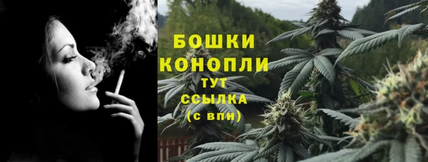 сатива Мегион