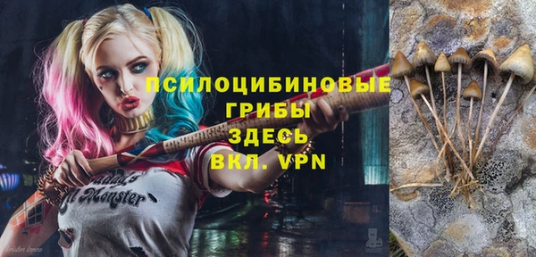 сатива Мегион