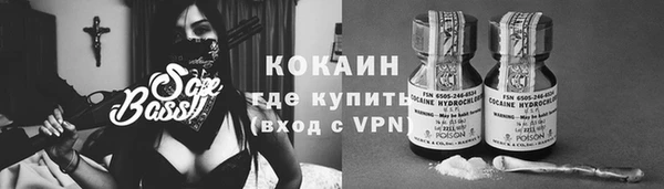 сатива Мегион