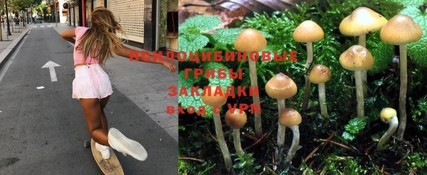 сатива Мегион