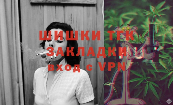 сатива Мегион