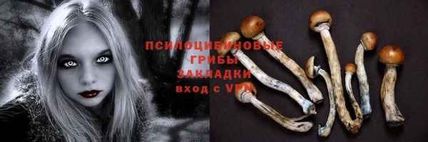 герыч Михайлов